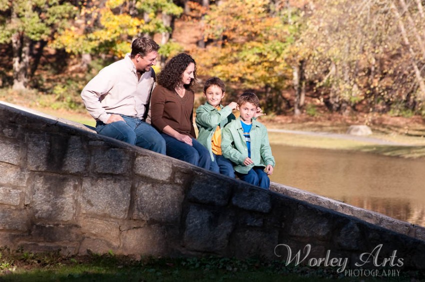 silly boys family bridge