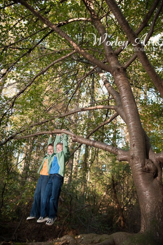 boys in tree